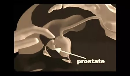 The spectacled spectacled man from the brunette and put a long cock xxx video 2017 in the vagina young