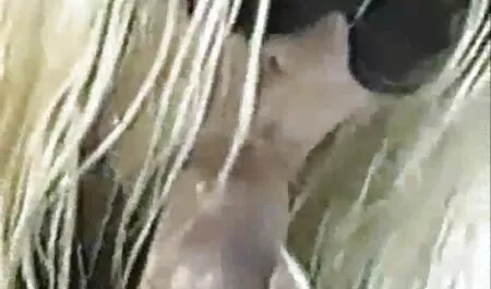 Guy finished nxnx com on the girl's face, then when smoking through a hole in the wall
